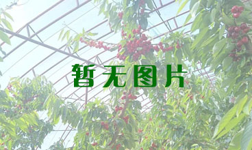 ɽӣ֮磬ɽʡ̨ӣҲҵΪƶ¸Ҫ;